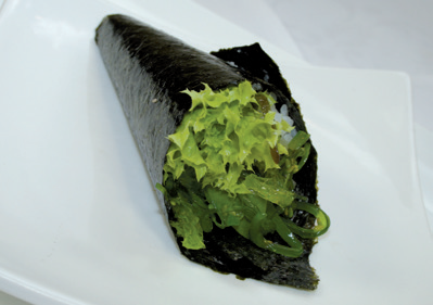 Vegetarische Temaki